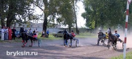 В Черемисиново прошли конные бега на приз депутата ГД Александра Брыксина