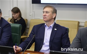 Брыксин: «Сенаторы обсудили развитие субъектов МСП в условиях внешнего санкционного давления»