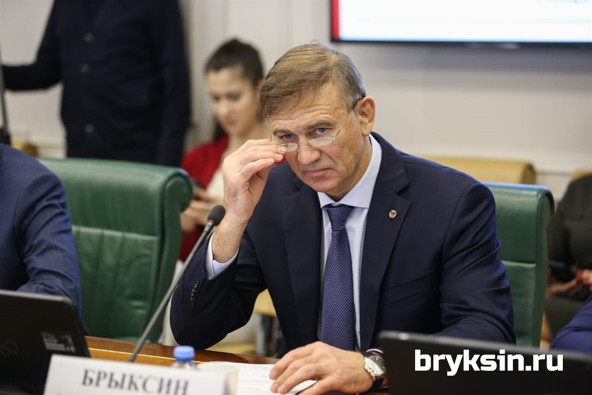 А.Брыксин рассказал о процедуре онлайн-голосования на предстоящих выборах