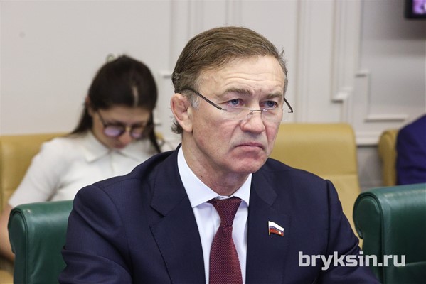 Брыксин: «Закон обеспечит дополнительные меры защиты национальных интересов»