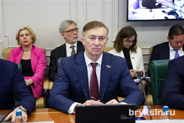 Одобренный сенаторами закон предупредит риски при осуществлении иностранных инвестиций в организации стратегического значения