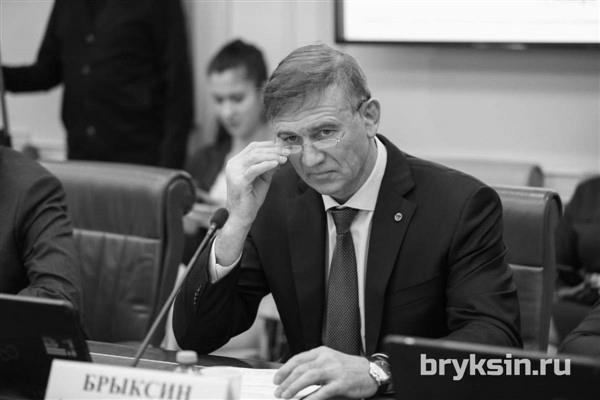 Александр Брыксин рассказал об особенностях организации Российского экспортного центра