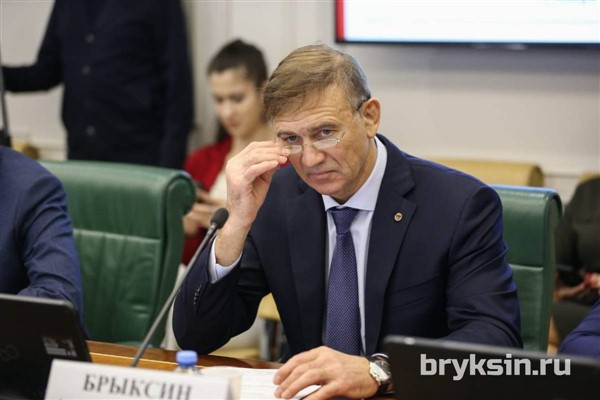 Александр Брыксин рассказал об особенностях организации Российского экспортного центра