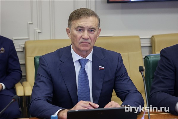 Брыксин: Пониженная ставка НДС будет действовать только для сертифицированных детских товаров